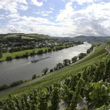 Appartement Weingut Fehres à Brauneberg Extérieur photo