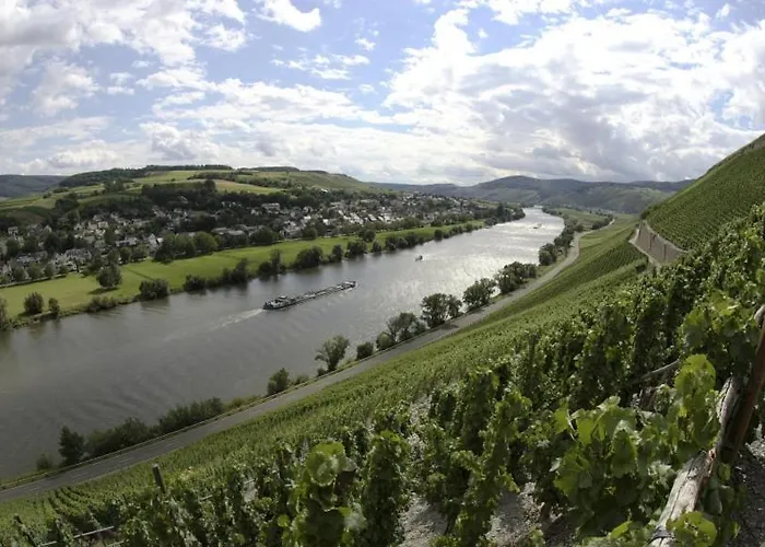 Weingut Fehres