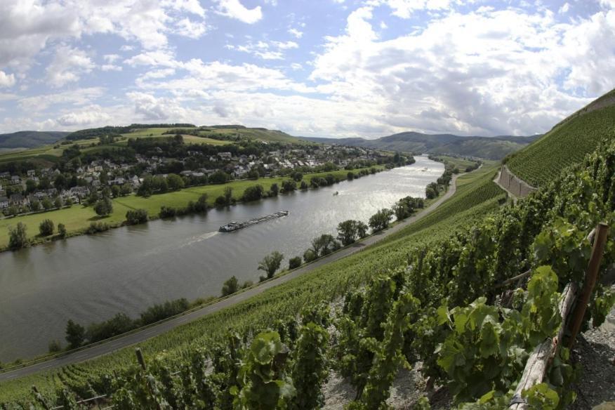 Weingut Fehres Appartement *